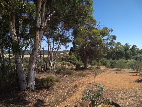 Hotham Ridge Estate - Accommodation Georgetown 13