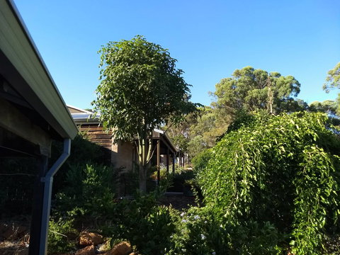 Hotham Ridge Estate - Accommodation Georgetown 5