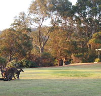 Riverside Retreat Chalets Walpole - Accommodation Georgetown