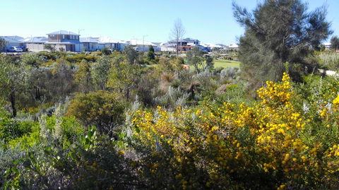 Alkimos Beach Cottage - Accommodation Georgetown 3