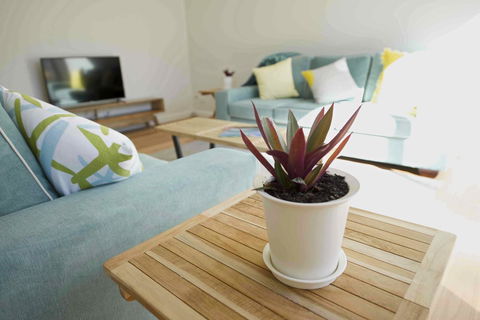 Sunny Blinco Street House - Accommodation Georgetown 7