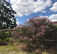 Cockburn Retreat Home  - Accommodation Georgetown