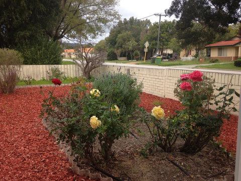 â˜… Stylish Family Home! â˜… - Accommodation Georgetown 1