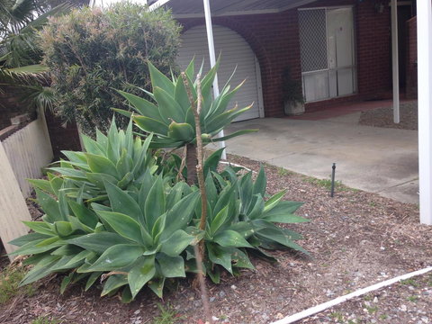 â˜… Stylish Family Home! â˜… - Accommodation Georgetown 2