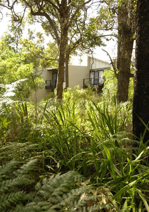 Margarets Forest - Accommodation Georgetown 41