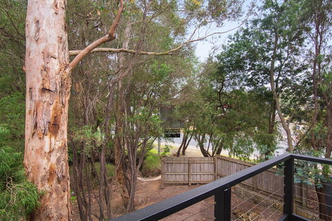 Margarets Forest - Accommodation Georgetown 12