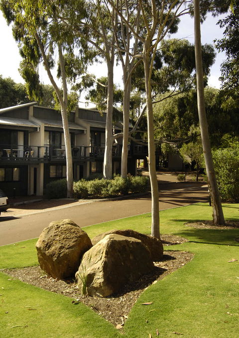 Margarets Forest - Accommodation Georgetown 34