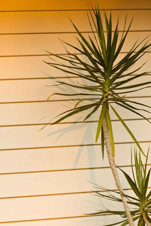 The Billi Resort - Accommodation Georgetown 44