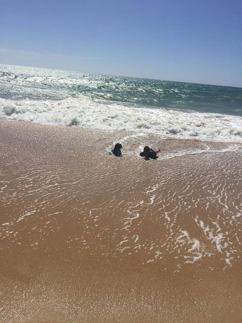 Beach House At SeaScapes.. - Accommodation Georgetown 30