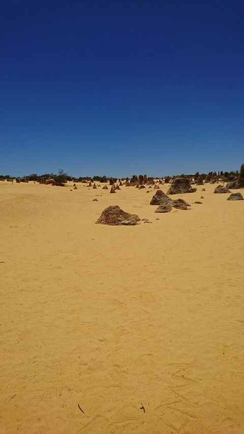 The Bothy Lancelin Family Retreat - Accommodation Georgetown 35
