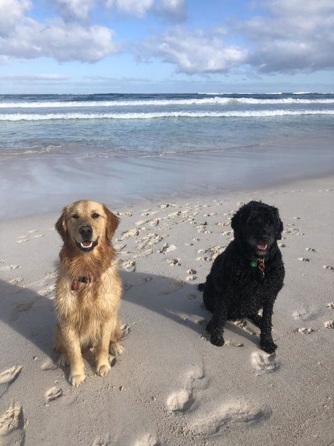 The Bothy Lancelin Family Retreat - Accommodation Georgetown 32