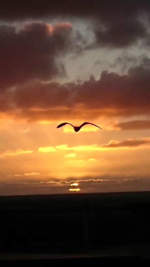 The Bothy Lancelin Family Retreat - Accommodation Georgetown 28