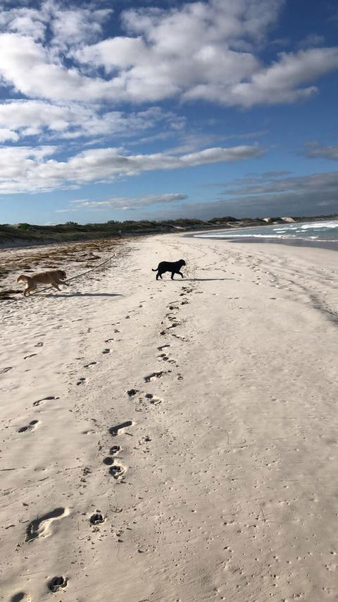 The Bothy Lancelin Family Retreat - Accommodation Georgetown 30