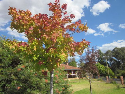 Bridgetown Valley Lodge - Accommodation Georgetown 40
