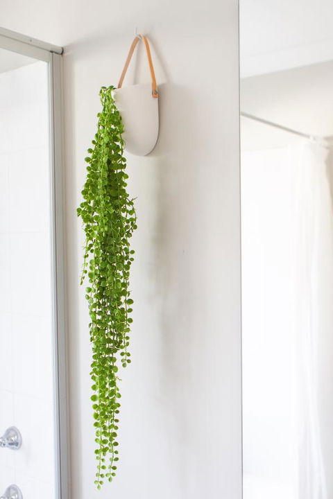 The Beach House - Accommodation Georgetown 15