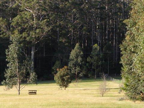 Big Brook Retreat - Accommodation Georgetown 5