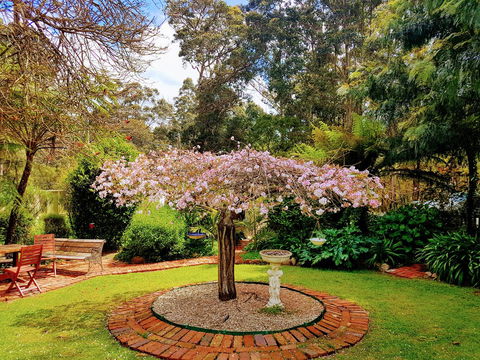 Adamsons Riverside Accommodation - Accommodation Georgetown 25