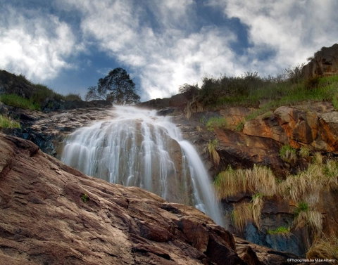 Banksia Tourist Park - Accommodation Georgetown 17