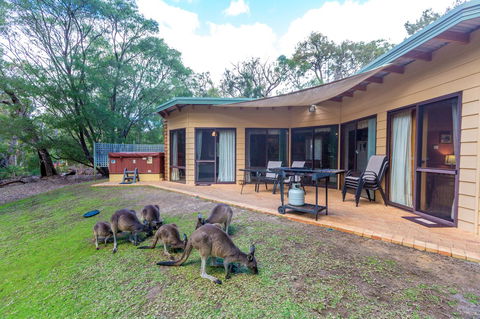 Yelverton Brook Conservation Sanctuary - Accommodation Georgetown 18