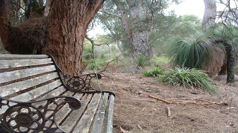 Yelverton Brook Conservation Sanctuary - Accommodation Georgetown 42