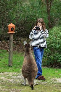 Yelverton Brook Conservation Sanctuary - Accommodation Georgetown 39
