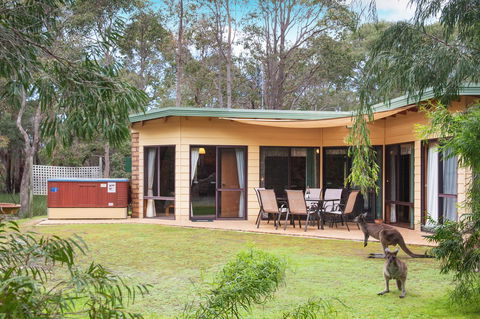 Yelverton Brook Conservation Sanctuary - Accommodation Georgetown 20
