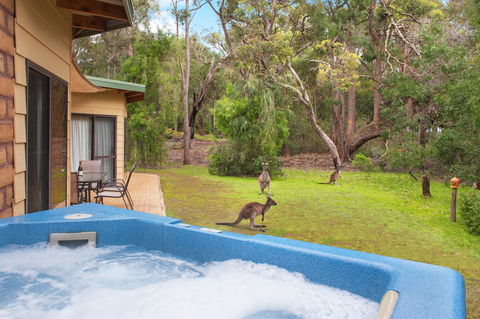 Yelverton Brook Conservation Sanctuary - Accommodation Georgetown 9