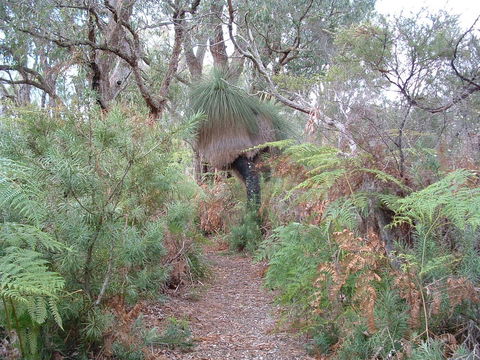 Yelverton Brook Conservation Sanctuary - Accommodation Georgetown 41