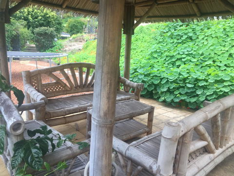 Bright & Beautiful Home On The Hills! - Accommodation Georgetown 25