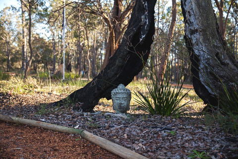 Amaroo Retreat & Spa - Accommodation Georgetown 13