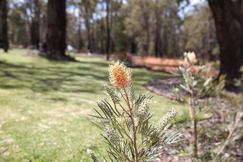 Amaroo Retreat & Spa - Accommodation Georgetown 19