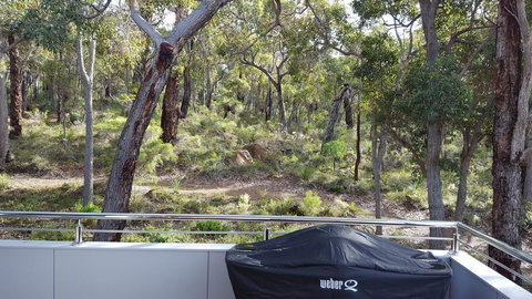 Cape Villas - Accommodation Georgetown 5