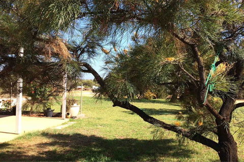 Ocean View Homestead - Accommodation Georgetown 23