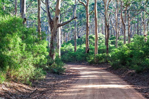 Margaret River Retreat - Accommodation Georgetown 20