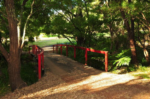Waterfall Cottages - Accommodation Georgetown 17