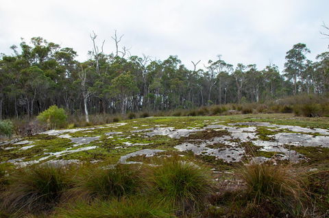Denmark Forest Retreat - Accommodation Georgetown 26