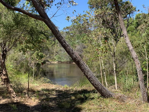 Denmark Forest Retreat - Accommodation Georgetown 32