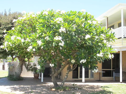 Kalbarri Riverfront Unit - Accommodation Georgetown 6