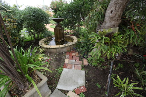 Jacaranda Guest House - Accommodation Georgetown 32