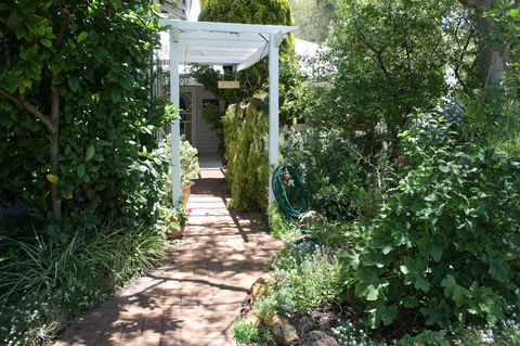 Jacaranda Guest House - Accommodation Georgetown 39