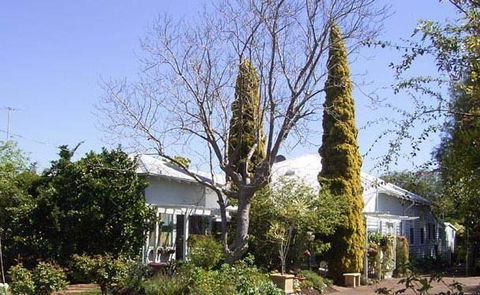 Jacaranda Guest House - Accommodation Georgetown 37