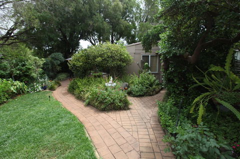 Jacaranda Guest House - Accommodation Georgetown 27