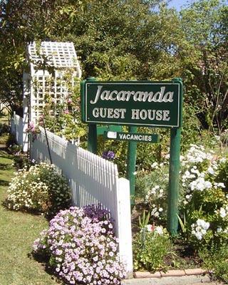 Jacaranda Guest House - Accommodation Georgetown 43
