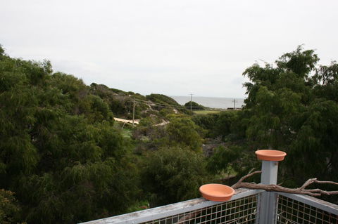 Peppy Beach Ocean Views - Accommodation Georgetown 8