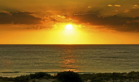 Scarborough & Absolutely Beachfront - Accommodation Georgetown 3