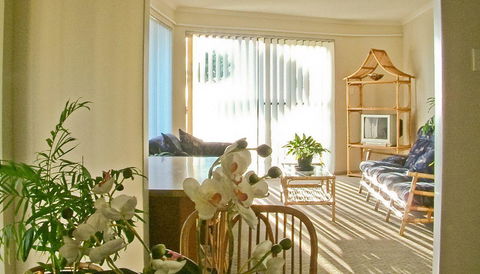 Scarborough & Absolutely Beachfront - Accommodation Georgetown 15