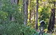 Di's Cabin In Dwellingup - thumb 6