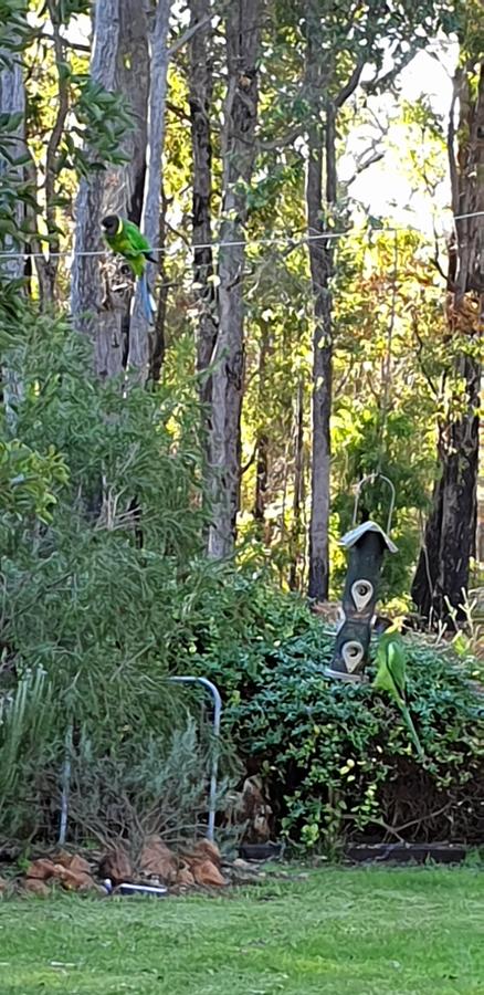 Di's Cabin In Dwellingup - Accommodation Georgetown 6