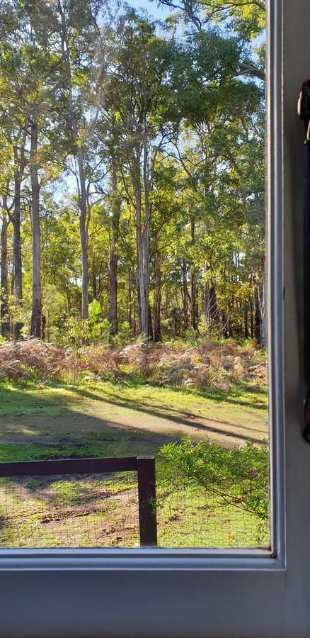 Di's Cabin In Dwellingup - Accommodation Georgetown 2