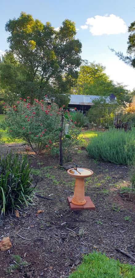 Di's Cabin In Dwellingup - Accommodation Georgetown 14
